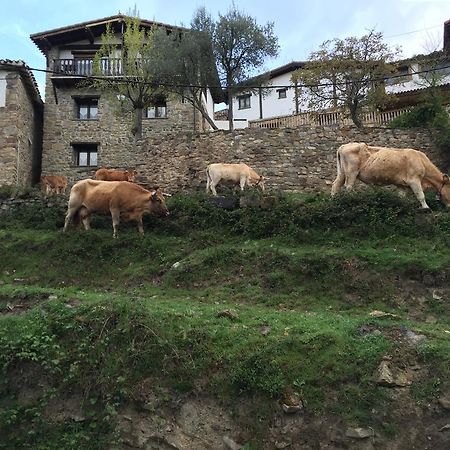 Casa Tia Upe Villa San Román de Cameros Dış mekan fotoğraf